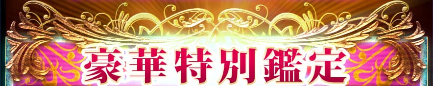 豪華特別鑑定
